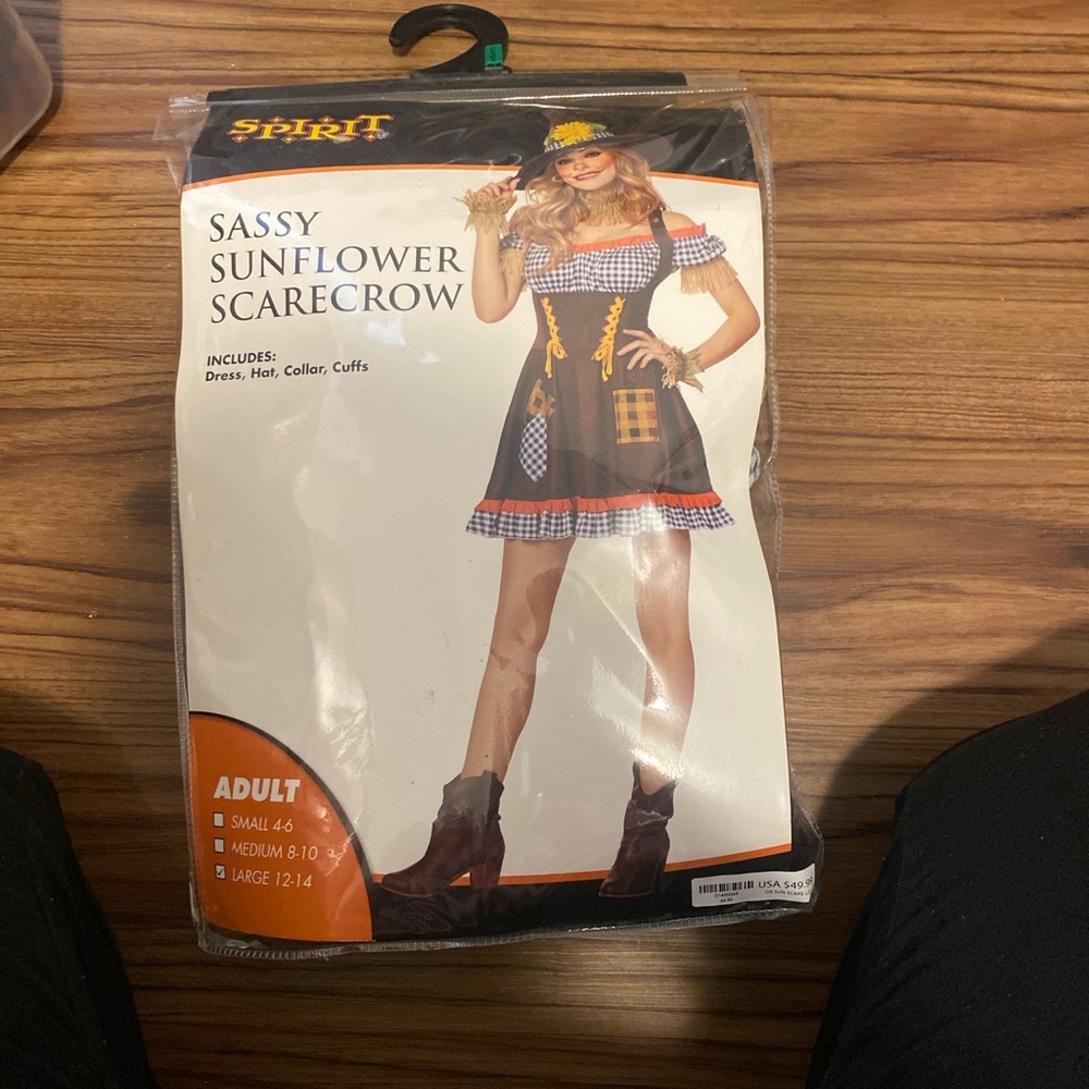Scarecrow costume